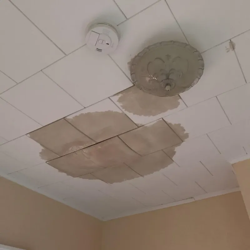 Ceiling Water Damage Repair in Beverly, OH