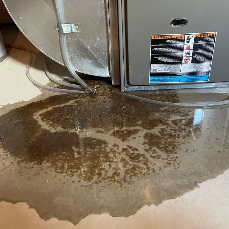 Pipe Burst and Leak Restoration in Beverly, OH