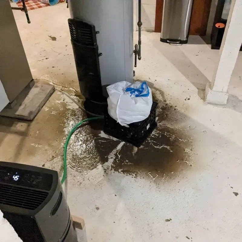 Sewage Backup Cleanup Service in Beverly, OH